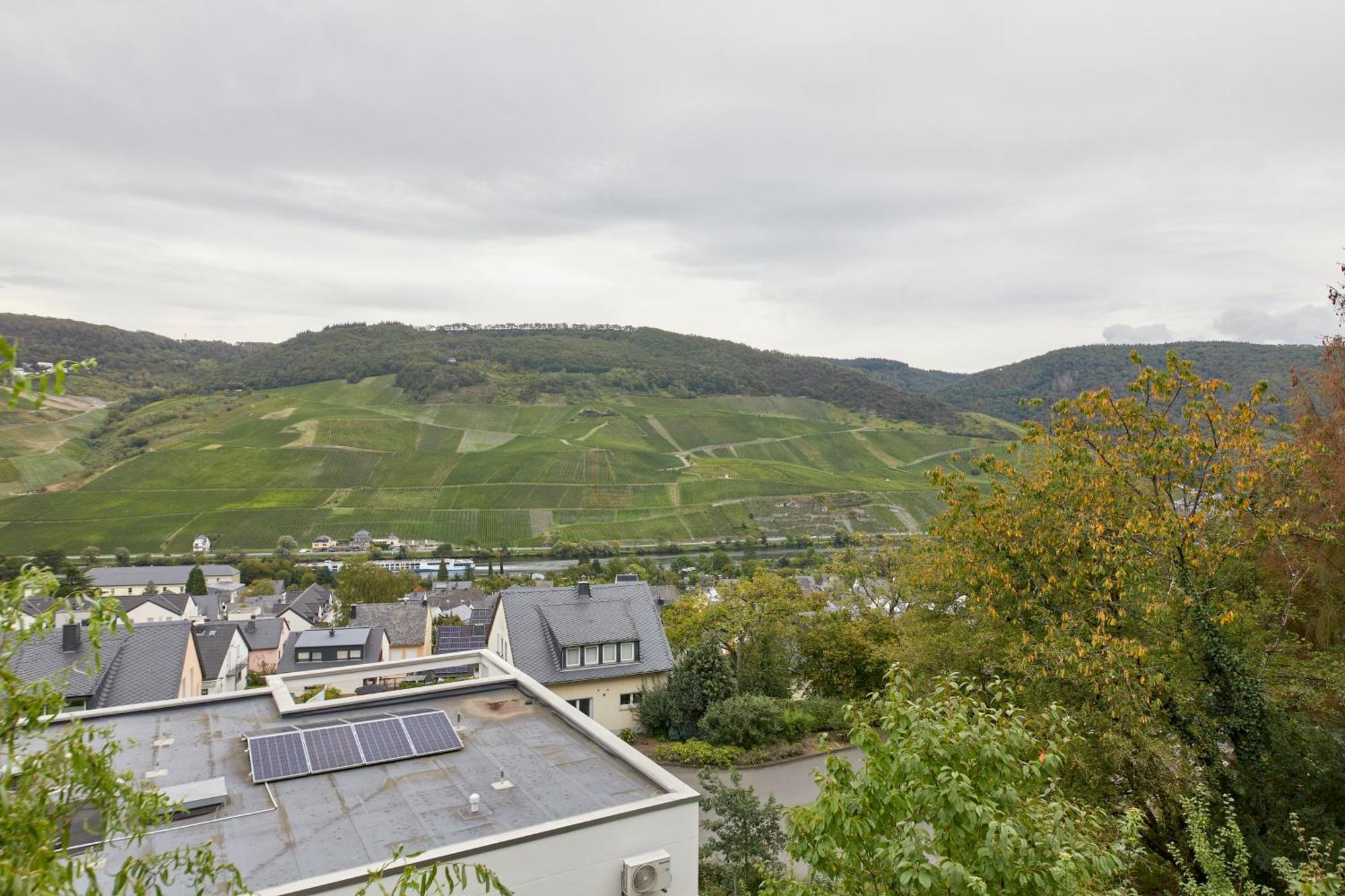 Mosel Panorama Apartment Bernkastel-Kues Exterior foto